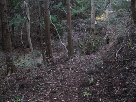 20181126hike (323)